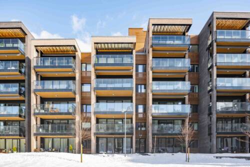 Woodify - Thermowood Furu til Ormerudveien 8-16